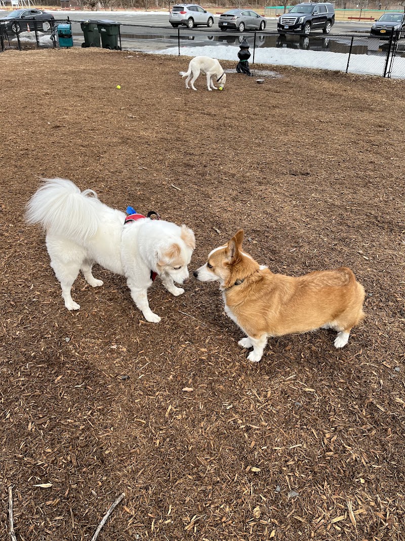 Granby Dog Park - Granby, CT