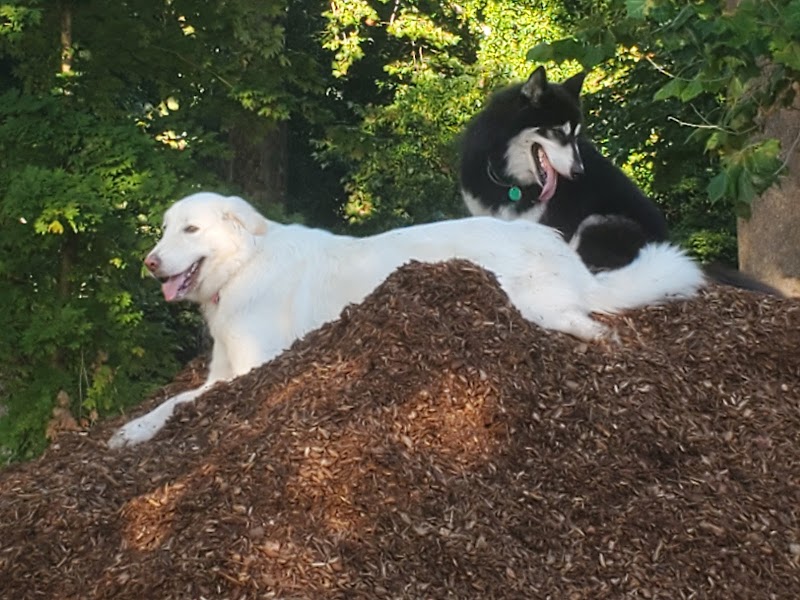 Granby Dog Park - Granby, CT