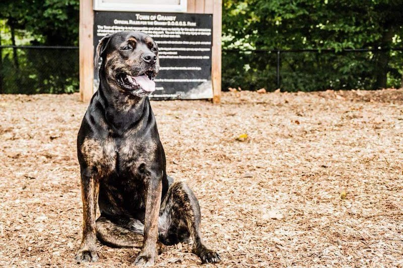 Granby Dog Park - Granby, CT