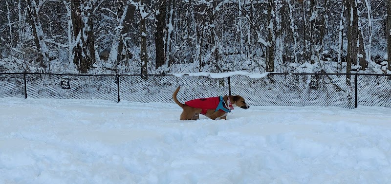 Granby Dog Park - Granby, CT