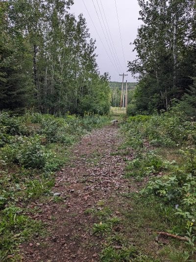 Grand Marais Dog Park by Go Dog North Shore - Grand Marais, MN