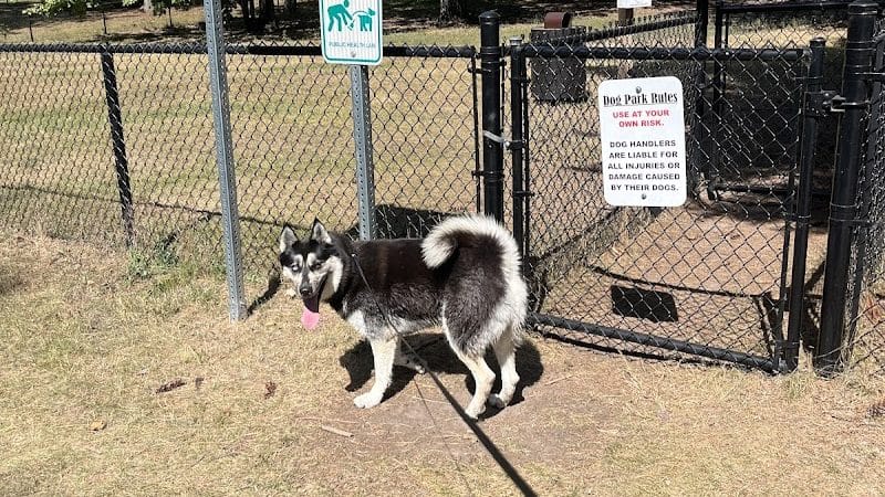 Grand Rapids Dog Park - Grand Rapids, MN