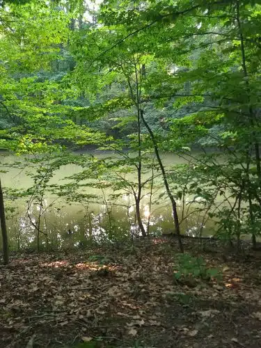 Ann Rudd Saxman Nature Park