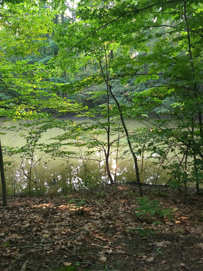 Ann Rudd Saxman Nature Park - Greensburg, PA
