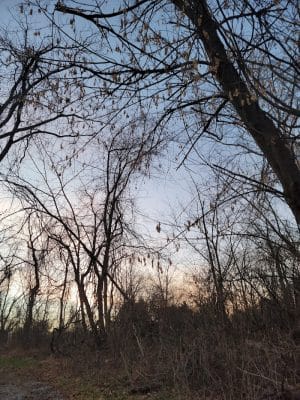 Ann Rudd Saxman Nature Park