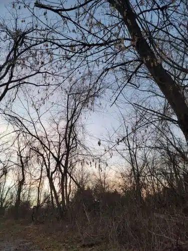 Ann Rudd Saxman Nature Park