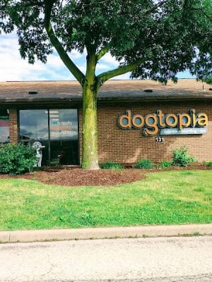 Dogtopia of Greensburg