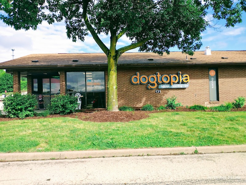 Dogtopia of Greensburg - Greensburg, PA