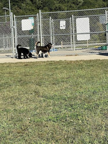 Hempfield Dog Park
