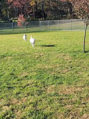 Hempfield Dog Park