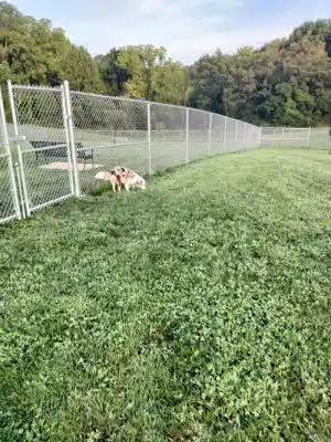 Hempfield Dog Park
