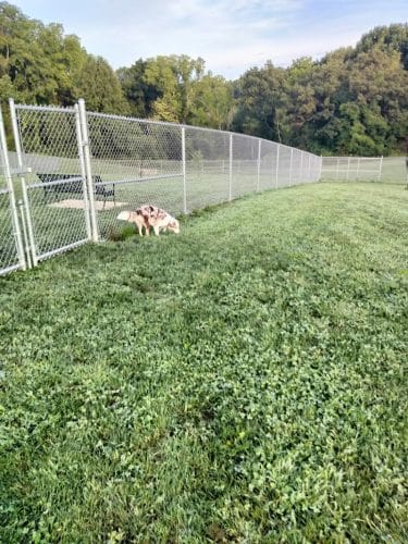 Hempfield Dog Park