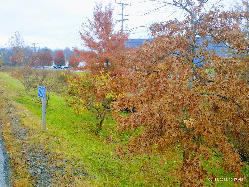 Hempfield Woodward Drive Walking Track - Greensburg, PA