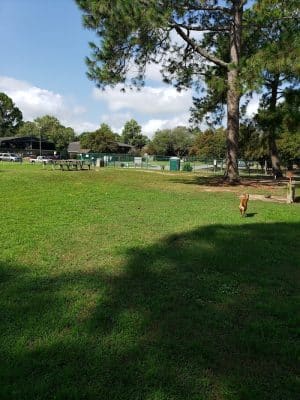 Greenville Offleash Dog Park - Greenville, NC