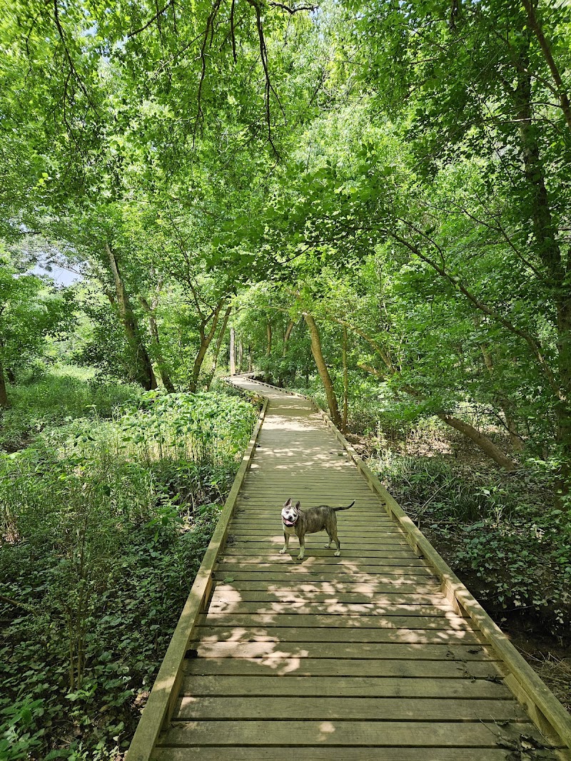 Cleveland Park - Greenville, SC