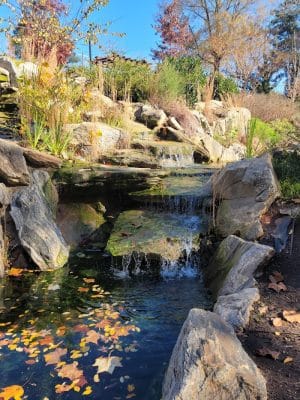 Cancer Survivors Park