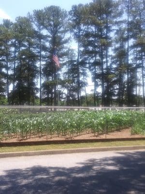 Centennial Park