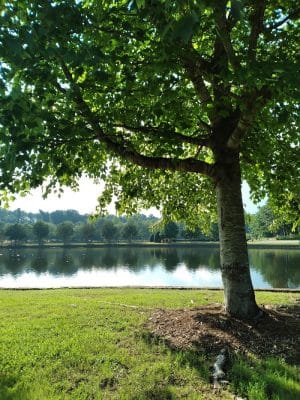 Centennial Park