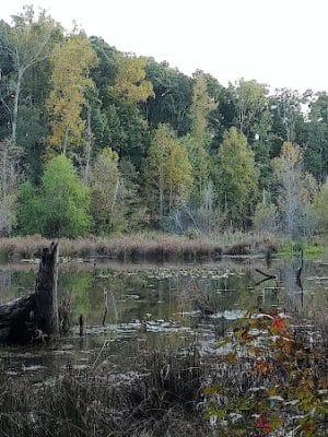 Conestee Park