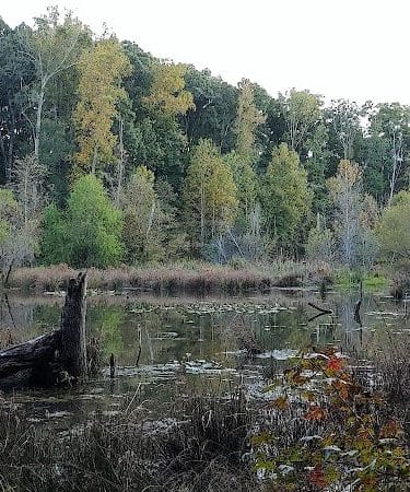 Conestee Park