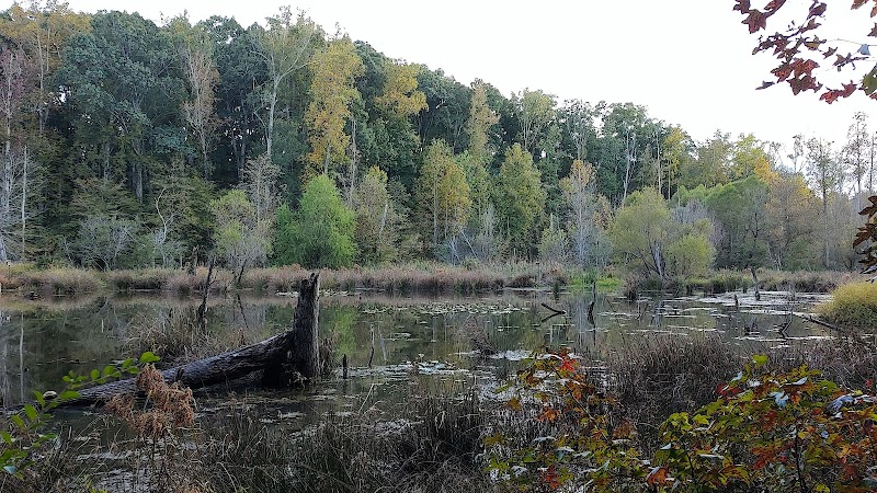 Conestee Park - Greenville, SC