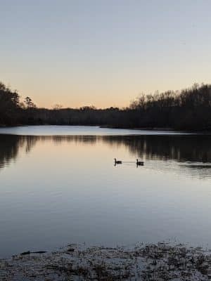Conestee Park