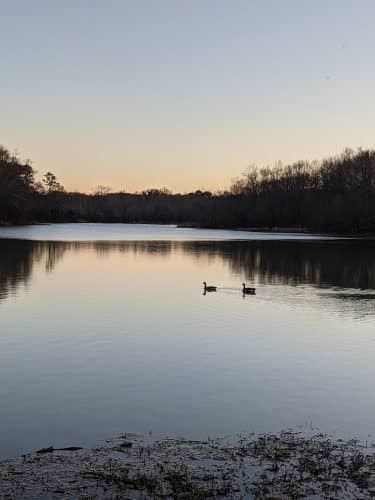 Conestee Park