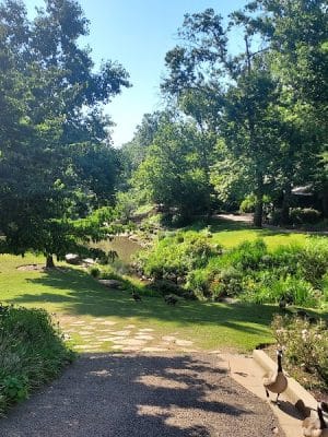 Downtown Greenville Sc