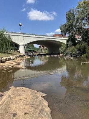 Downtown Greenville Sc