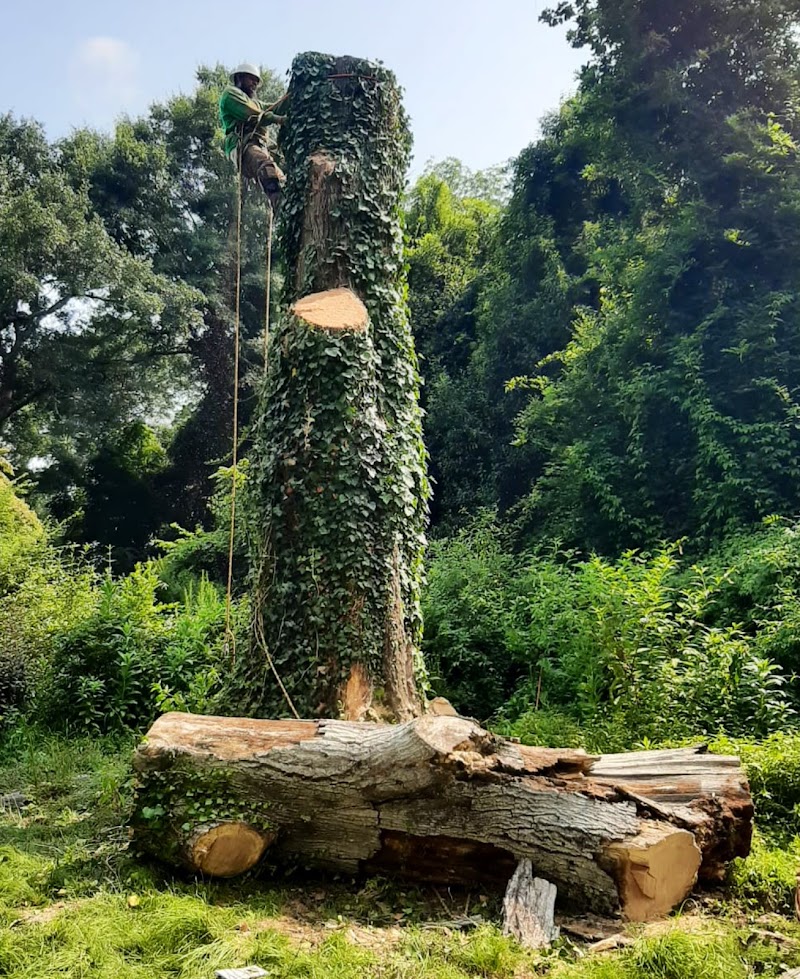 Henry Bacon McKoy Park - Greenville, SC