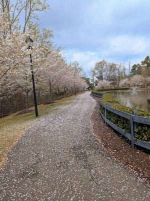 Legacy Park