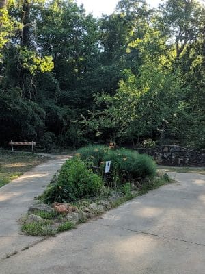 North Main Rotary Park