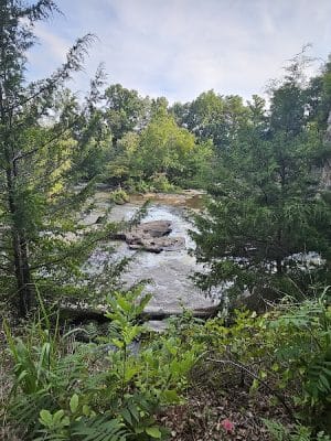 Pelham Mill Park