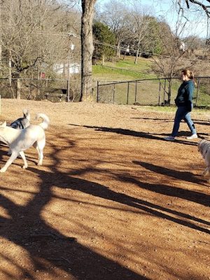 Pelham Mill Park