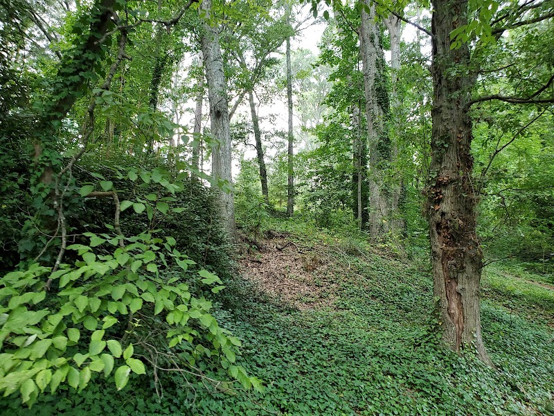 Swamp Rabbit trail - Greenville, SC