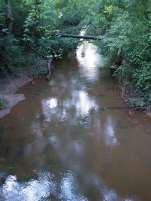Verner Springs Park