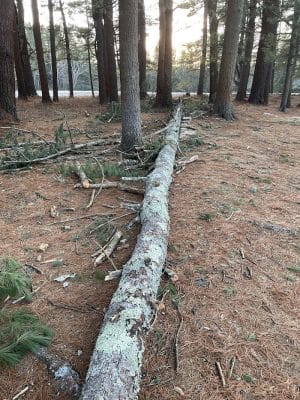 Groton Conservation Trust -- Lawrence Woods & Scenic Trails