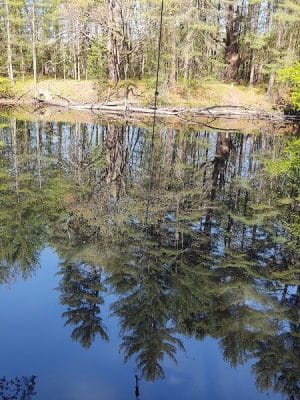 Groton Conservation Trust -- Lawrence Woods & Scenic Trails