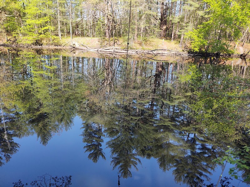 Groton Conservation Trust -- Lawrence Woods & Scenic Trails - Groton, MA