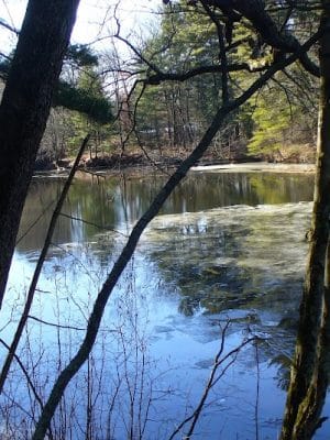 Groton Conservation Trust -- Lawrence Woods & Scenic Trails