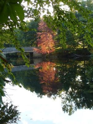 Groton Conservation Trust -- Lawrence Woods & Scenic Trails