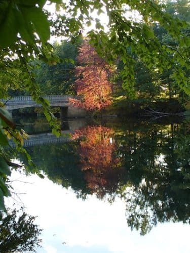 Groton Conservation Trust -- Lawrence Woods & Scenic Trails