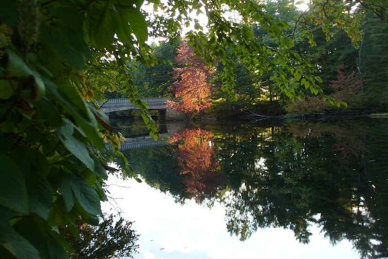 Groton Conservation Trust -- Lawrence Woods & Scenic Trails - Groton, MA