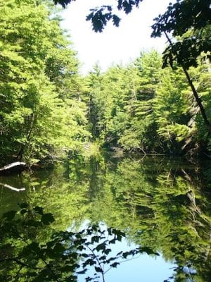 Groton Conservation Trust -- Lawrence Woods & Scenic Trails