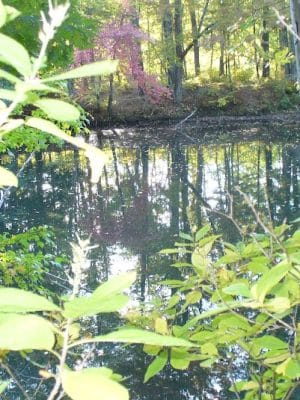 Groton Conservation Trust -- Lawrence Woods & Scenic Trails