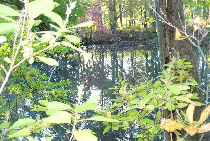 Groton Conservation Trust -- Lawrence Woods & Scenic Trails - Groton, MA