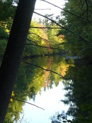 Groton Conservation Trust -- Lawrence Woods & Scenic Trails