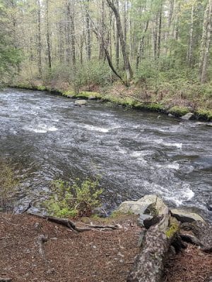 Groton Town Forest