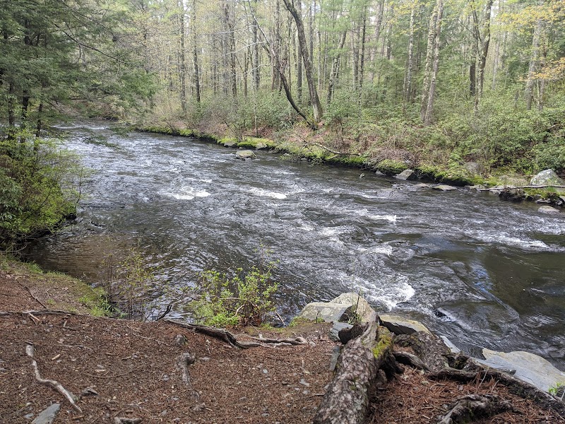 Groton Town Forest - Groton, MA