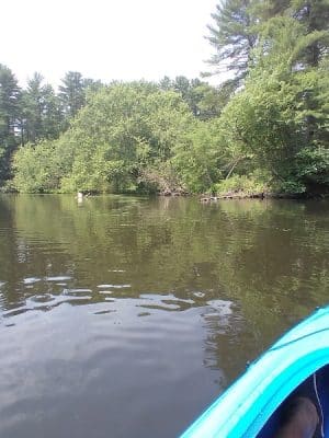 Groton Town Forest